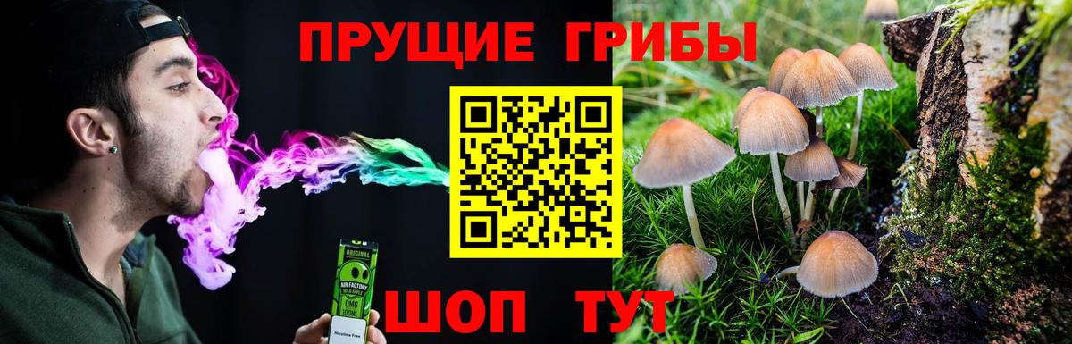 Псилоцибиновые грибы Magic Shrooms Зерноград